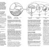 Permaculture: Principles and Pathways Beyond Sustainability - Revised - Image 3