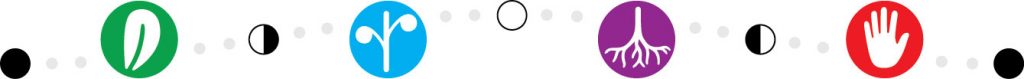 Moon cycle icons